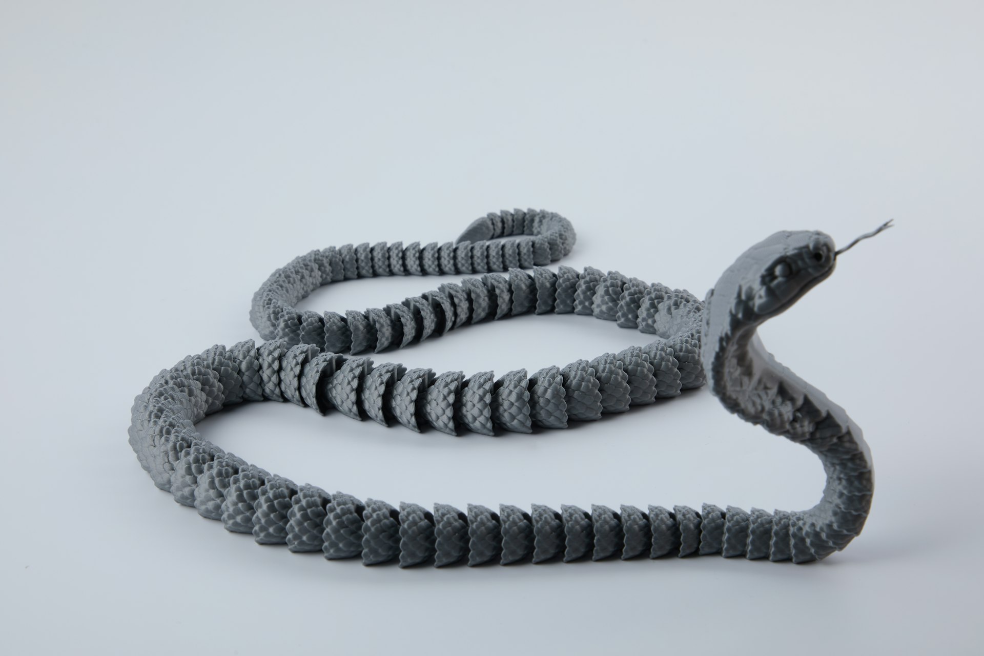 A gray snake with its tongue sticking out.